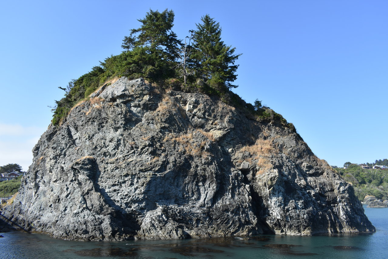 DSC_0023.jpg