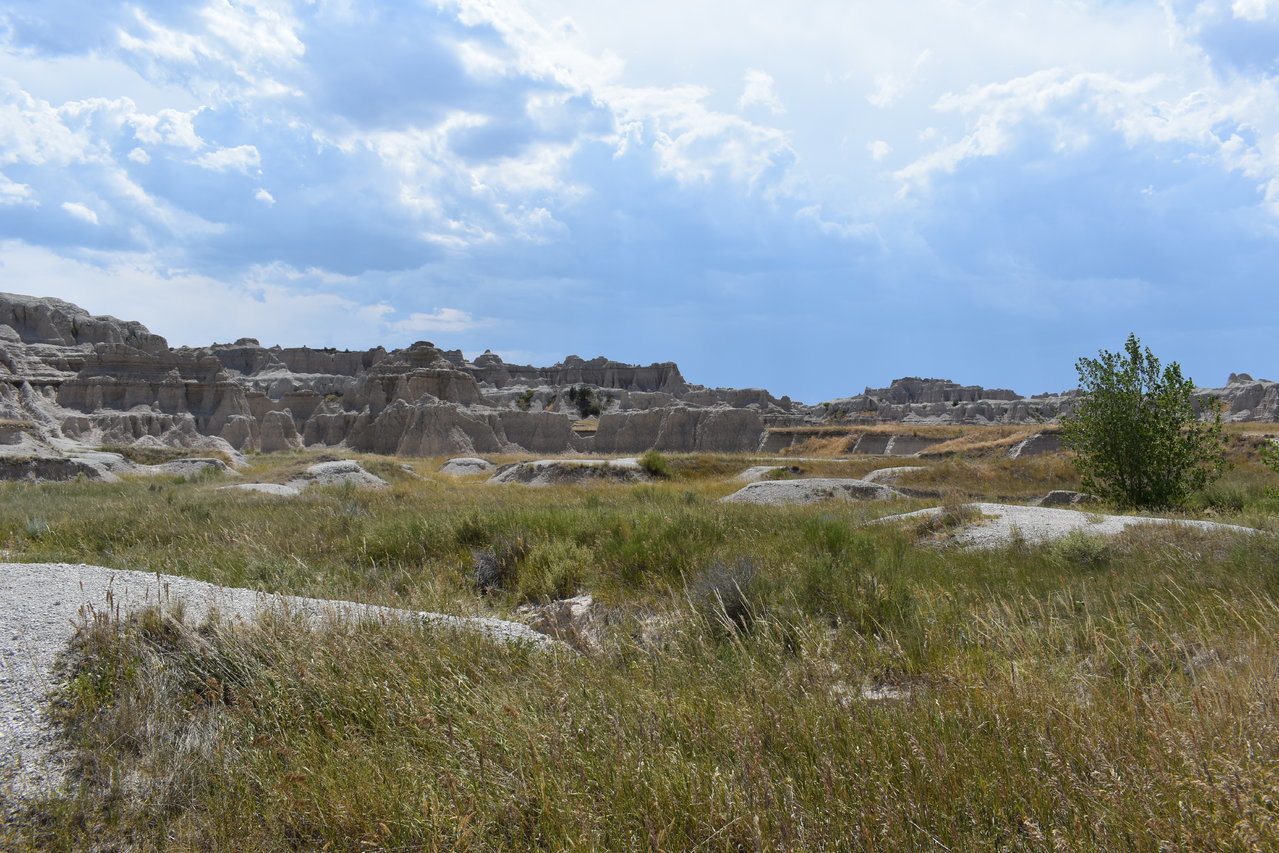 DSC_0023.jpg