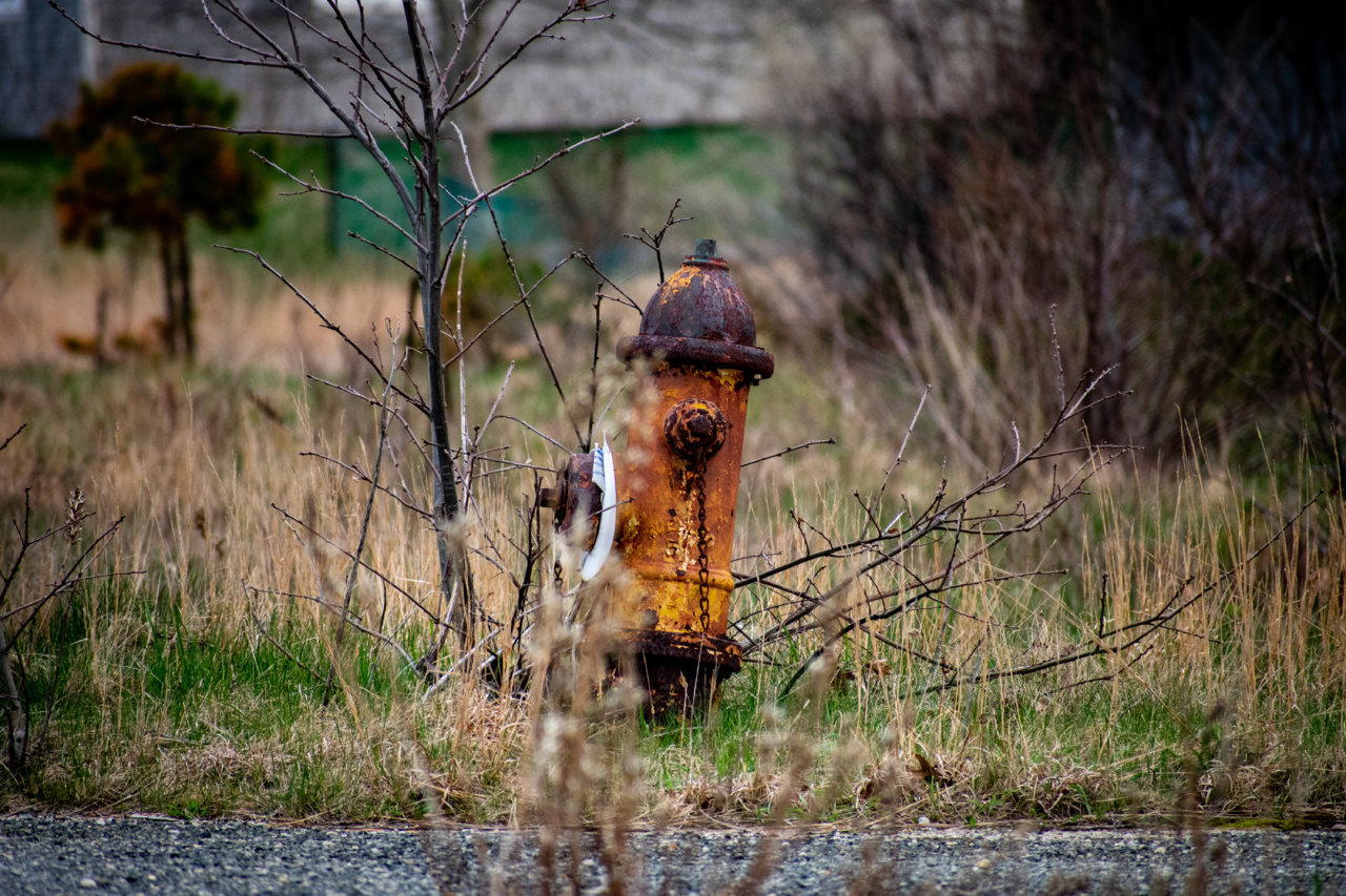 DSC_0023.jpg