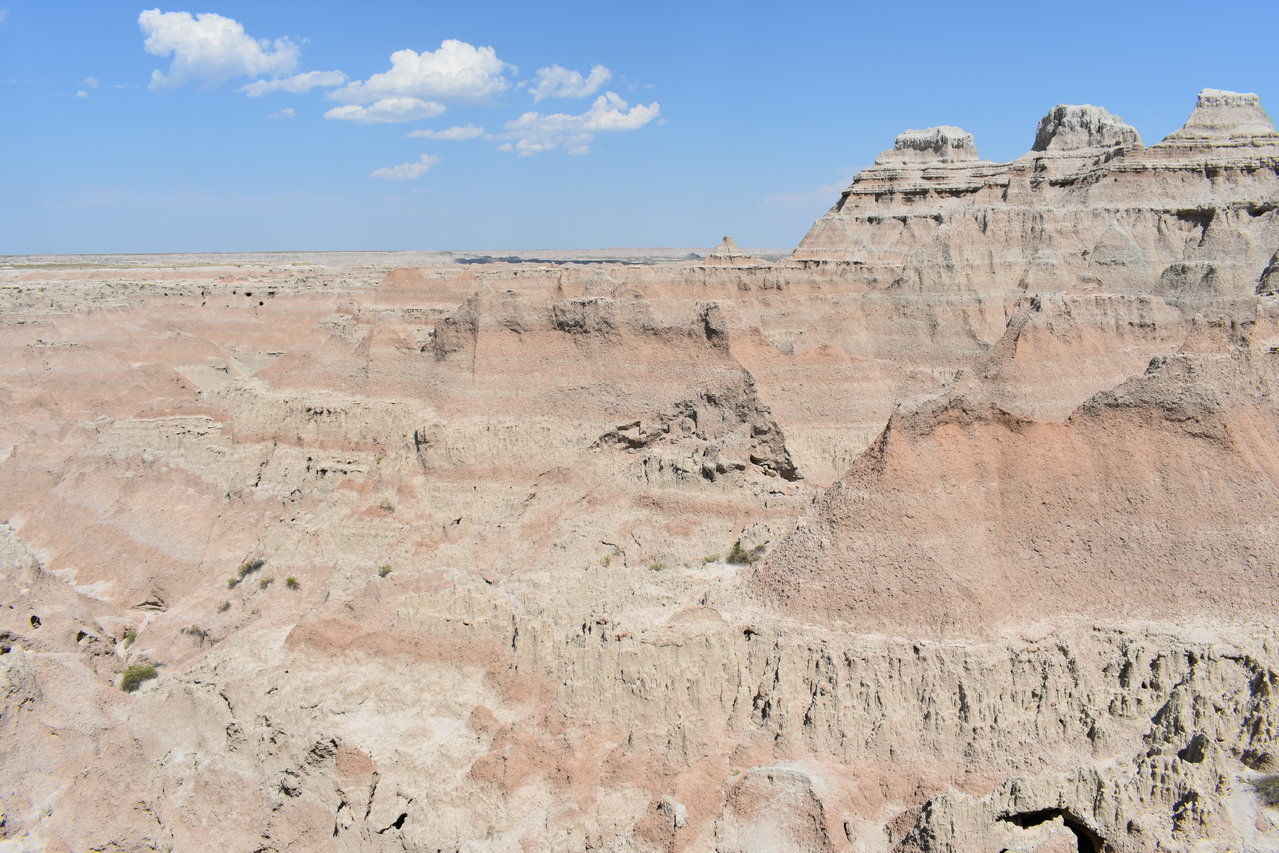 DSC_0024.jpg