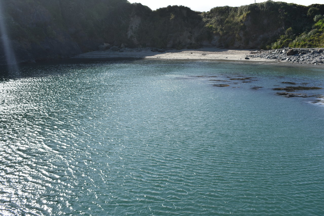 DSC_0025.jpg