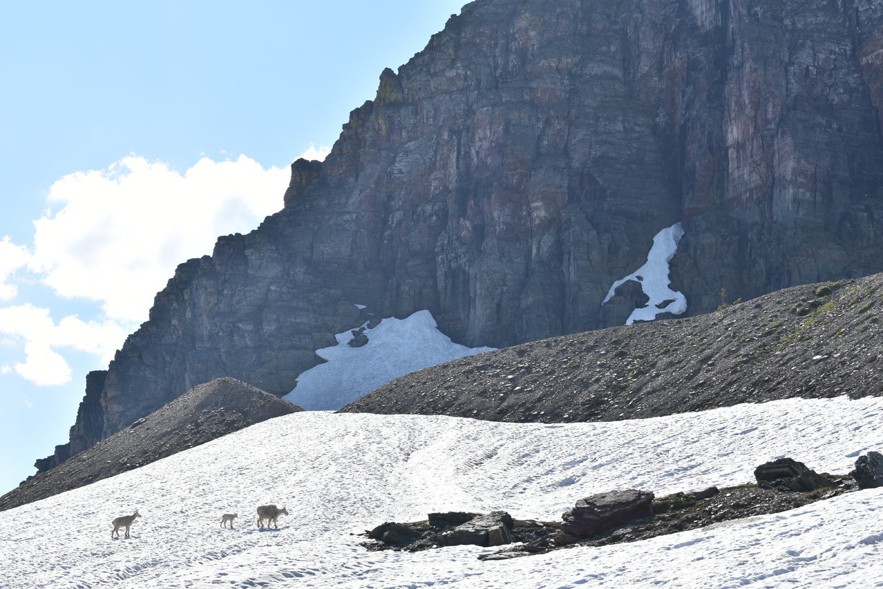 DSC_0025.jpg