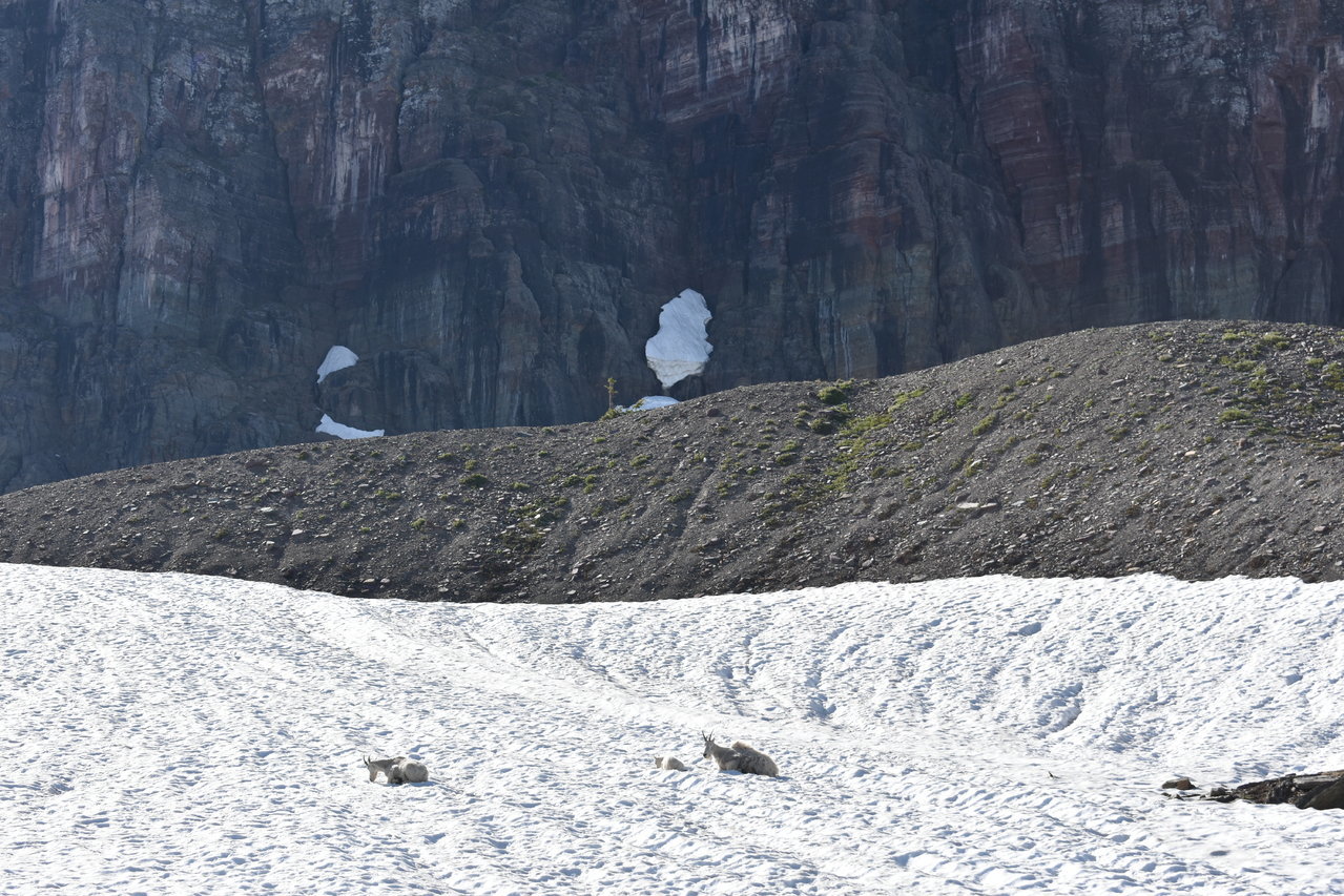 DSC_0026.jpg