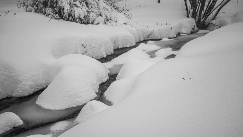 DSC_0026.jpg