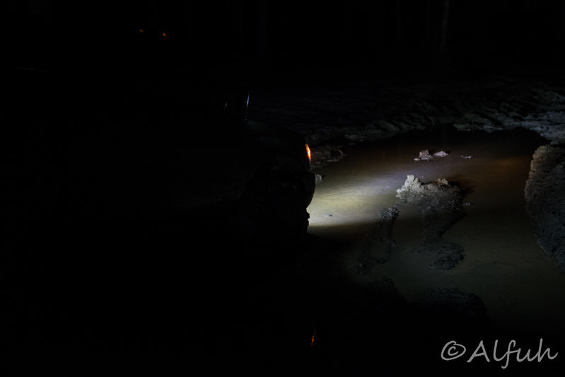 DSC_0027.jpg