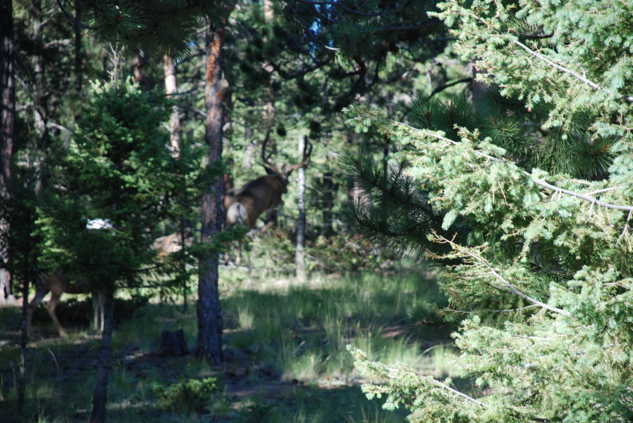 DSC_0027.jpg