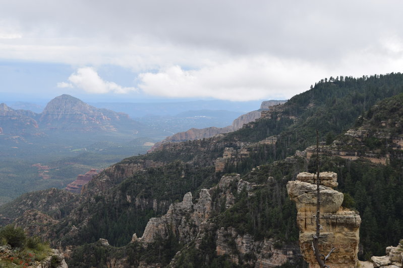 DSC_0028.jpg