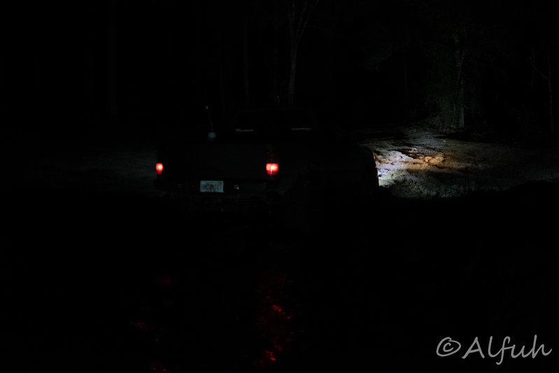 DSC_0028.jpg