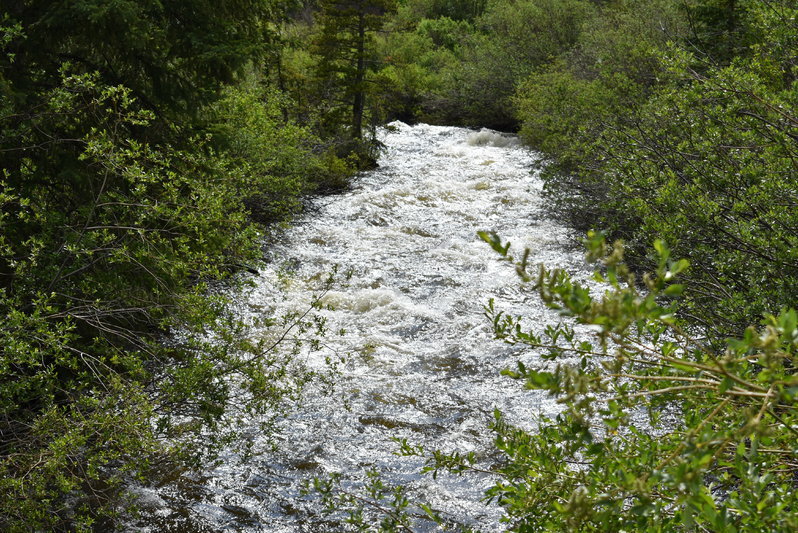 DSC_0028.jpg