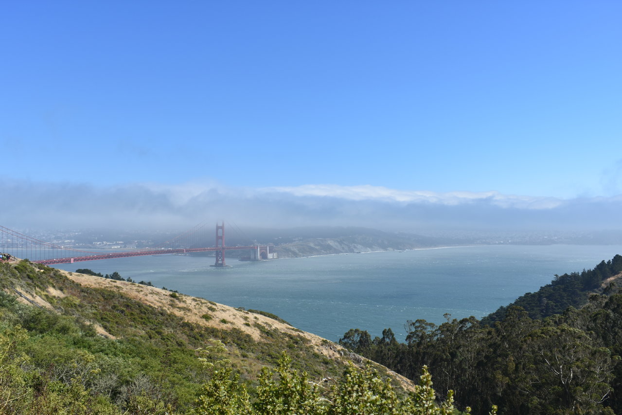 DSC_0028.jpg