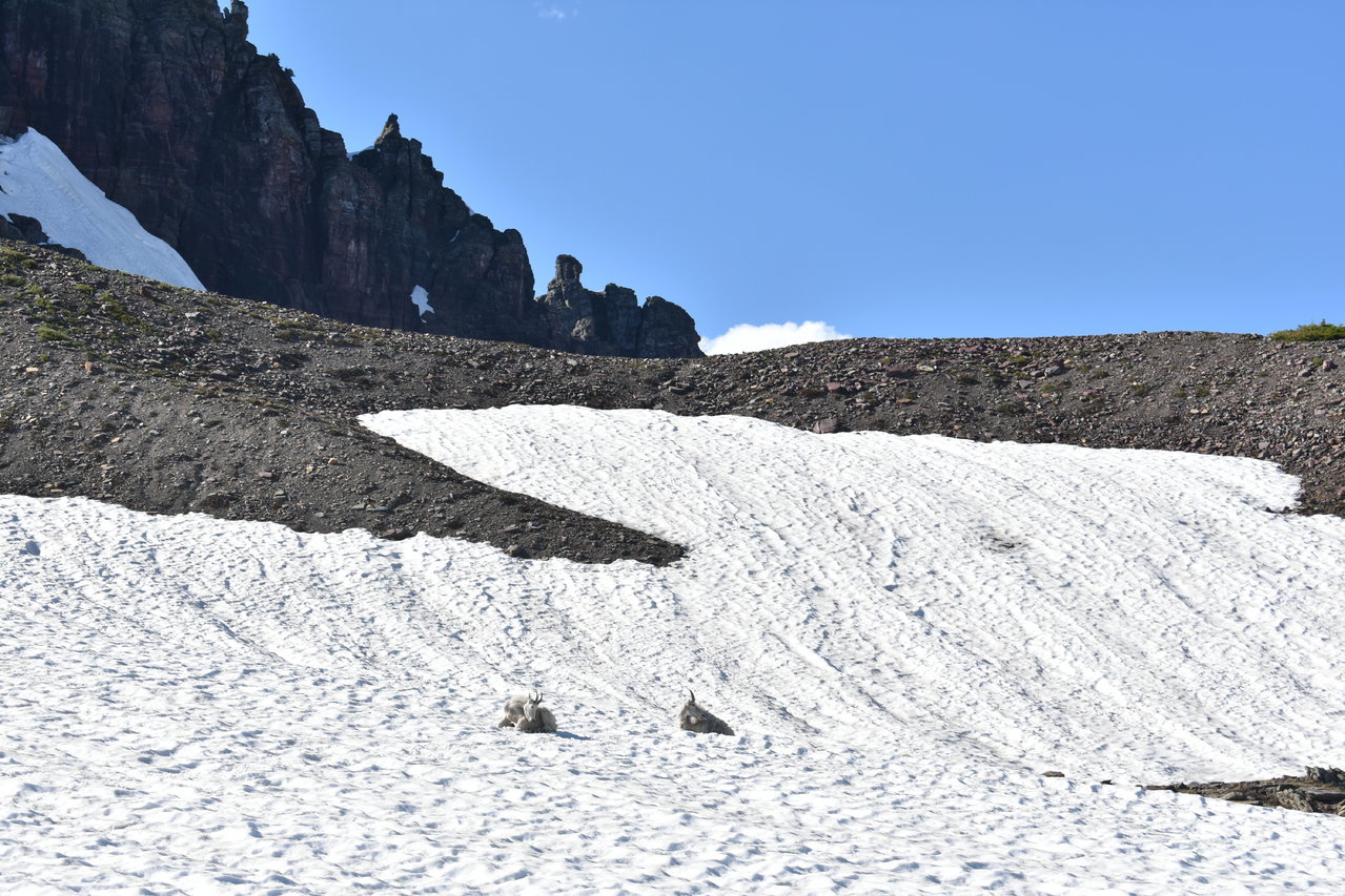 DSC_0028.jpg