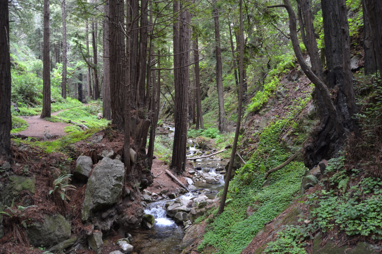 DSC_0028.jpg