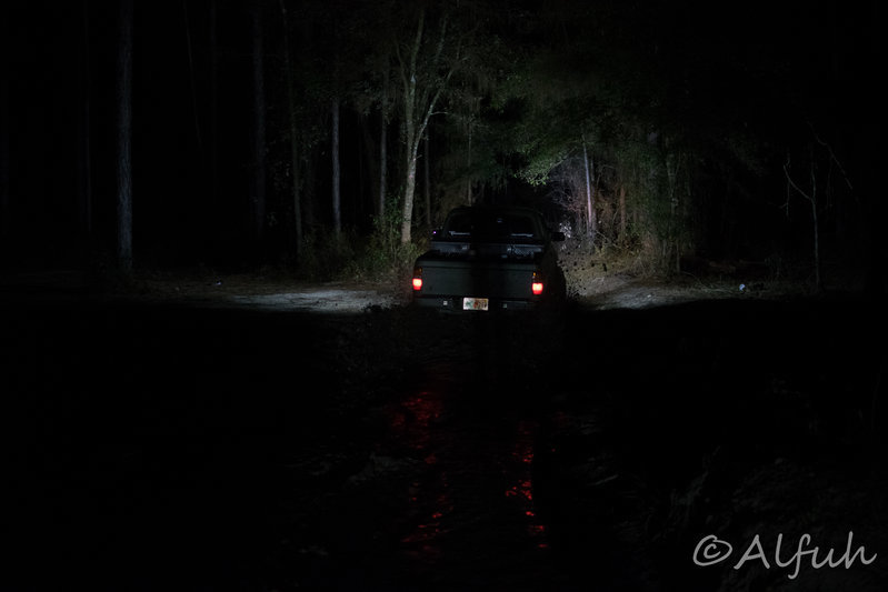 DSC_0029-2.jpg