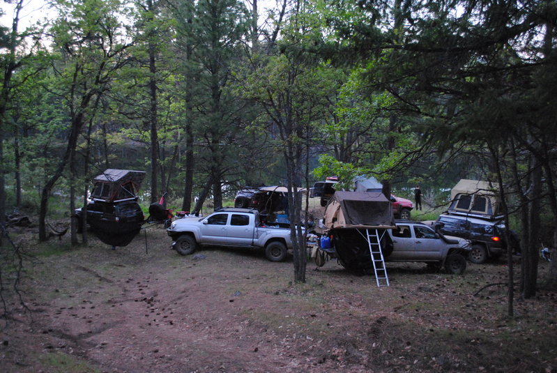 DSC_0029.jpg