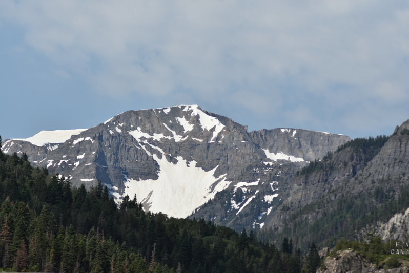 DSC_0029.jpg