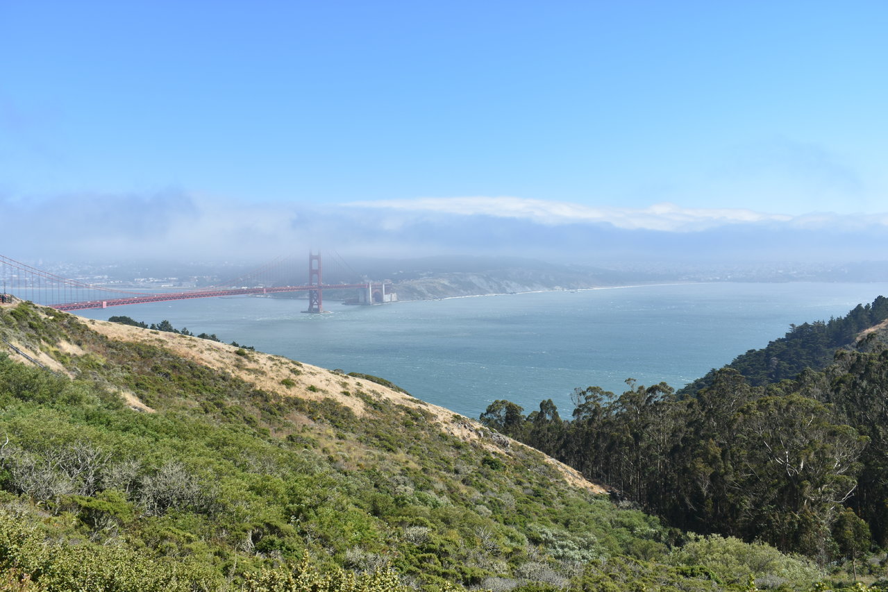 DSC_0029.jpg