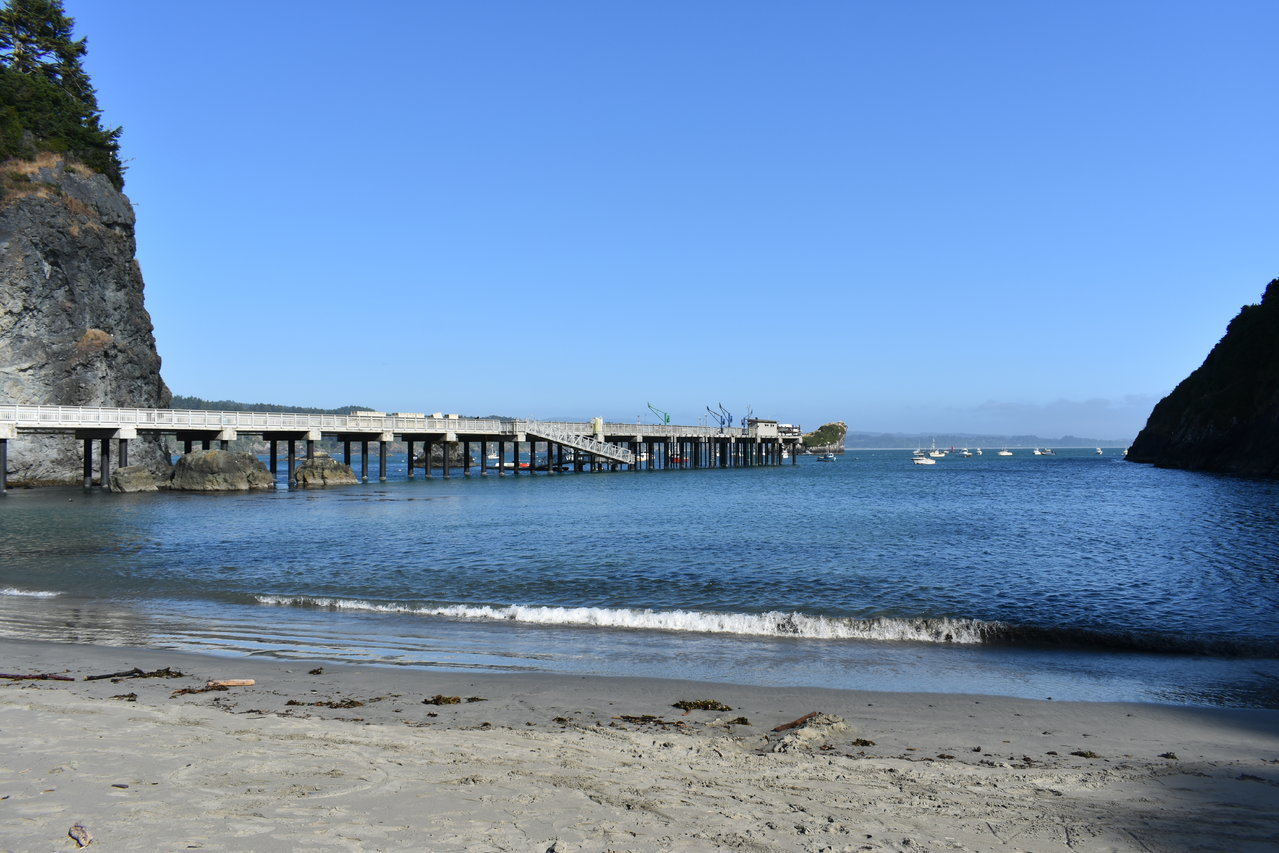 DSC_0029.jpg