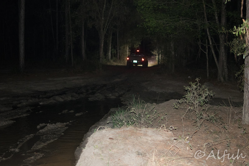 DSC_0030.jpg