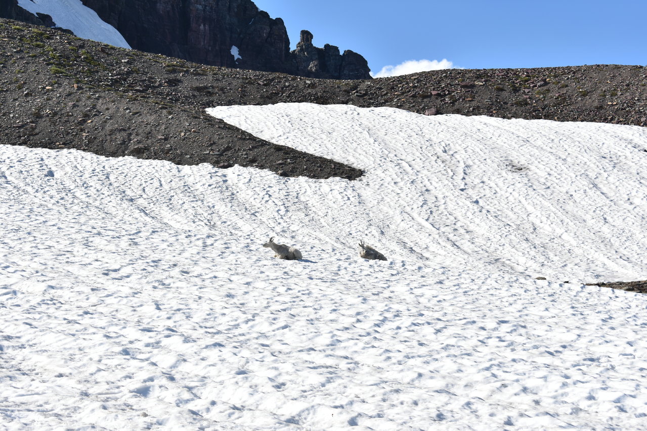 DSC_0030.jpg
