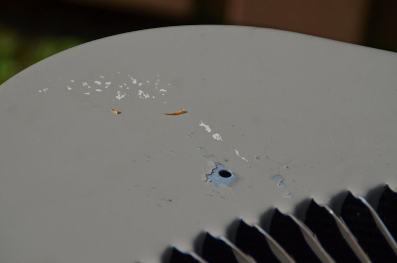 DSC_0031.jpg