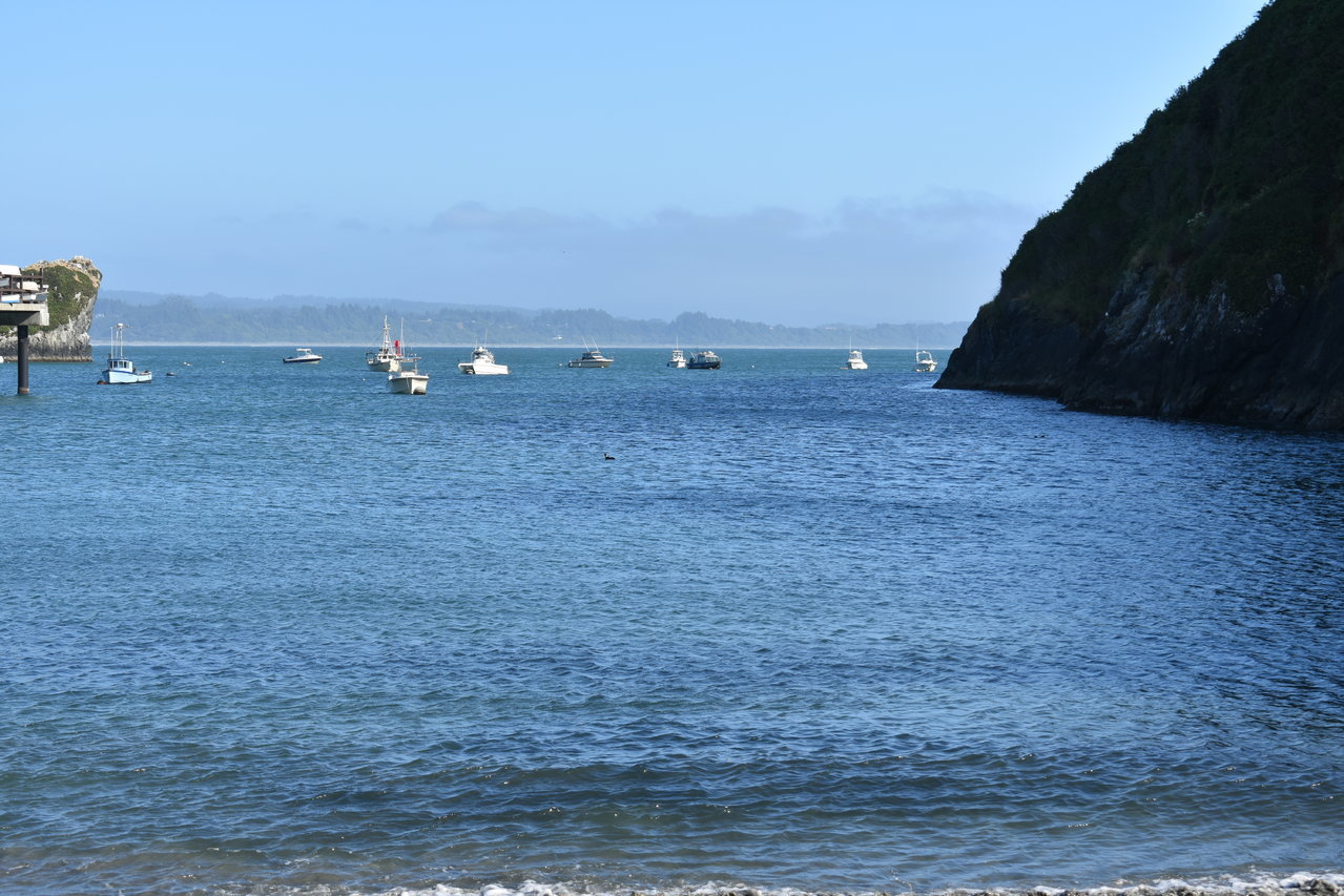 DSC_0031.jpg