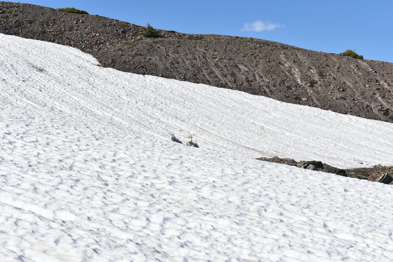 DSC_0031.jpg