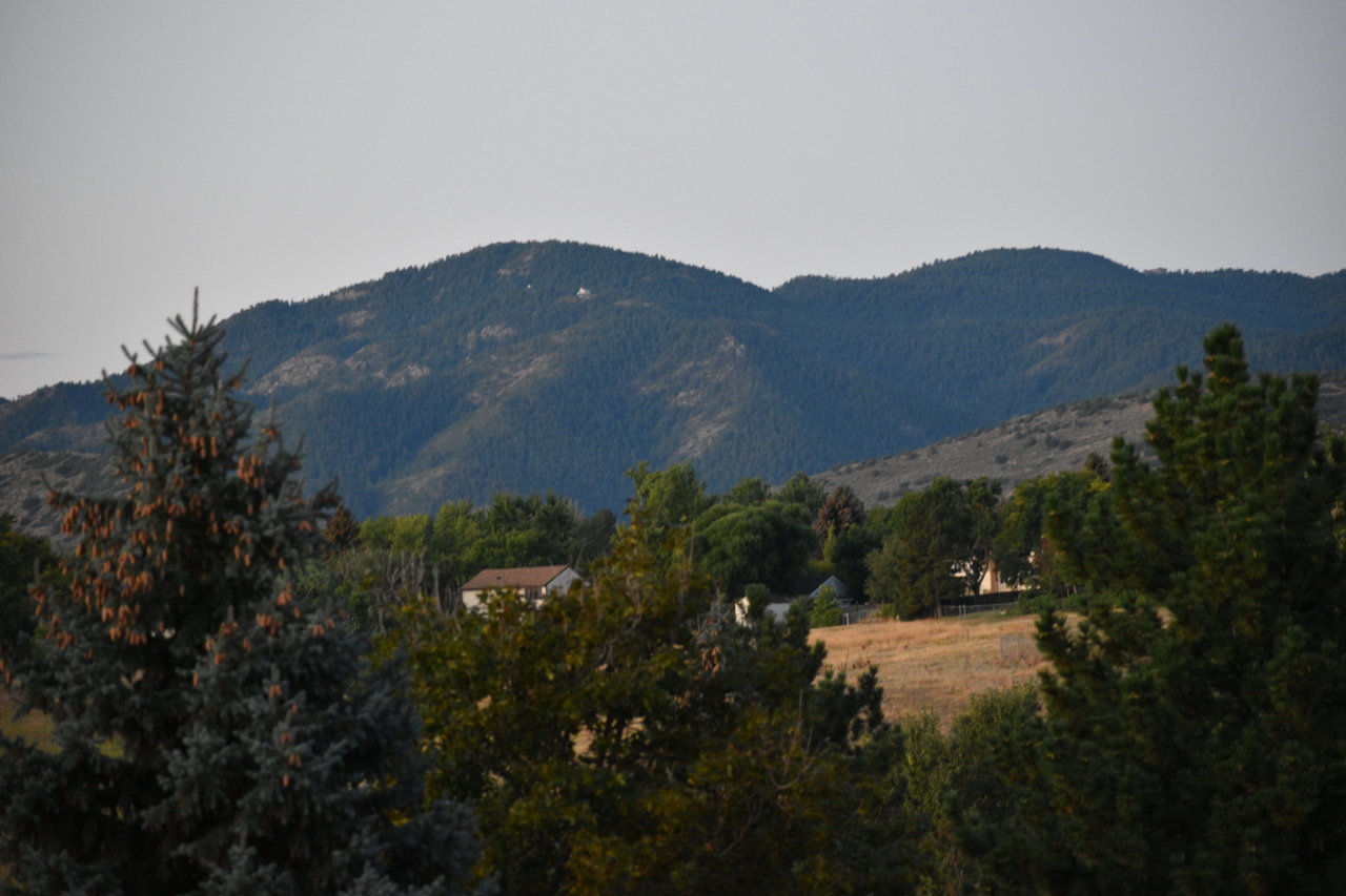 DSC_0031.jpg