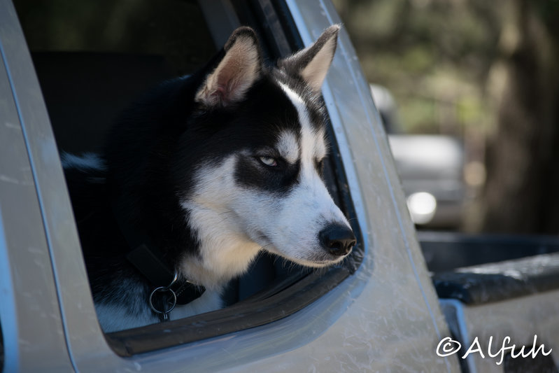 DSC_0031.jpg
