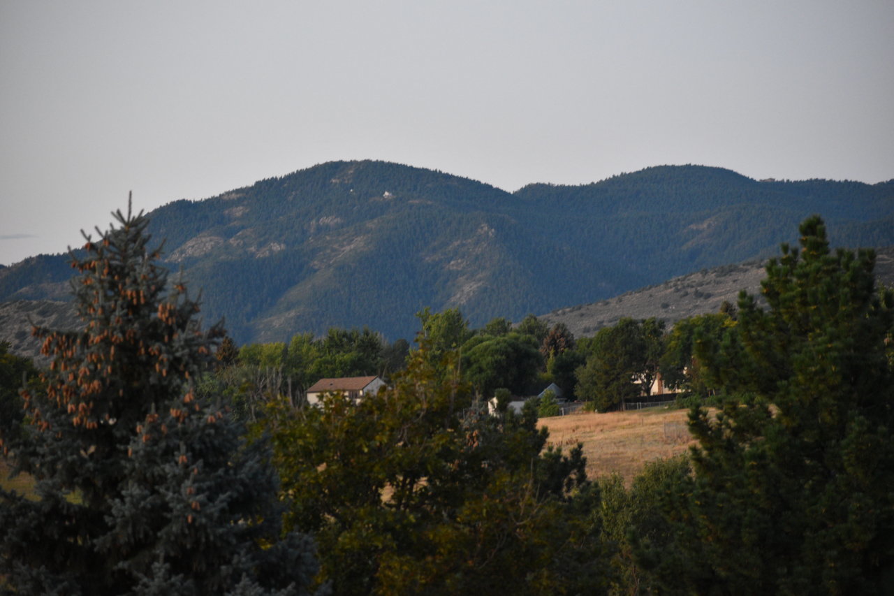 DSC_0031_1.jpg