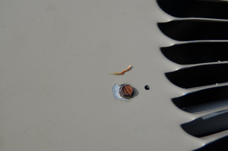 DSC_0032.jpg