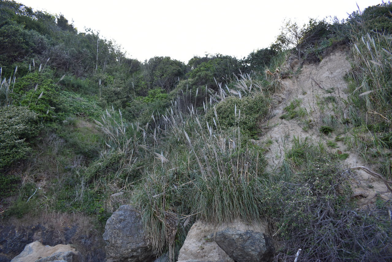 DSC_0032.jpg