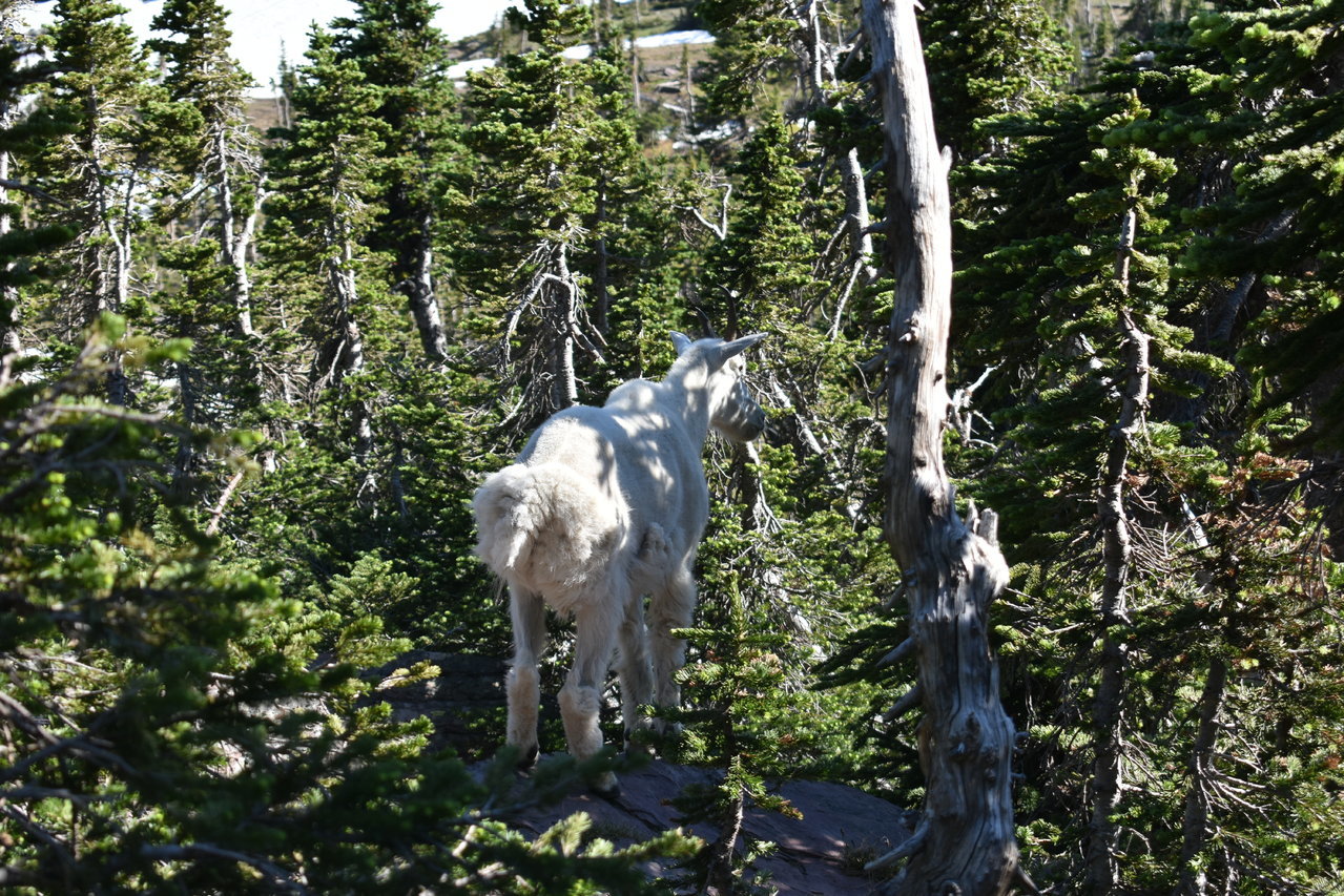DSC_0032.jpg