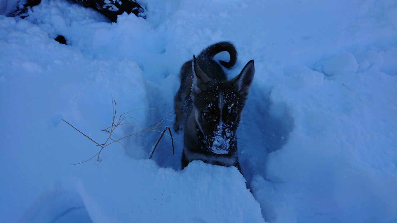 DSC_0032.jpg