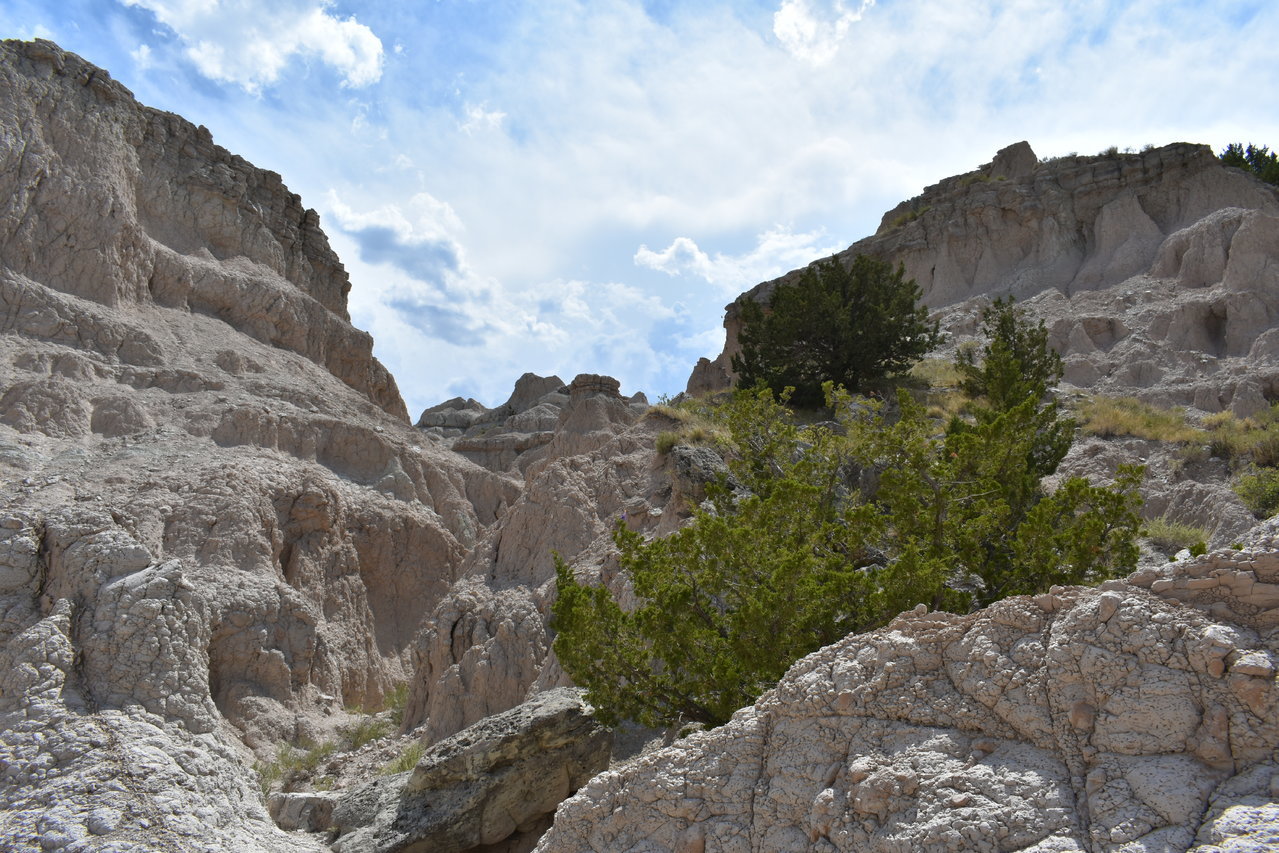 DSC_0033.jpg