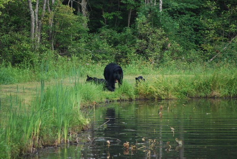 DSC_0034.jpg