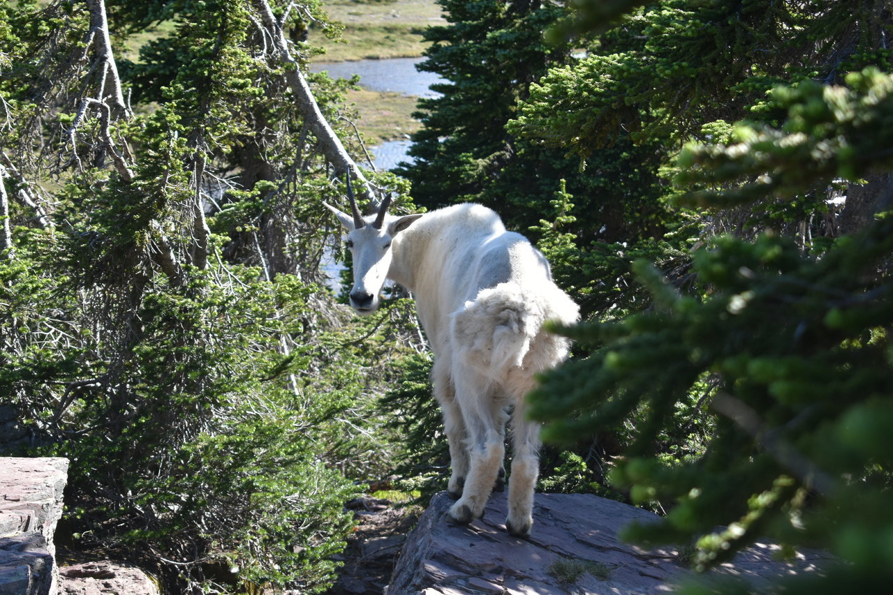 DSC_0034.jpg