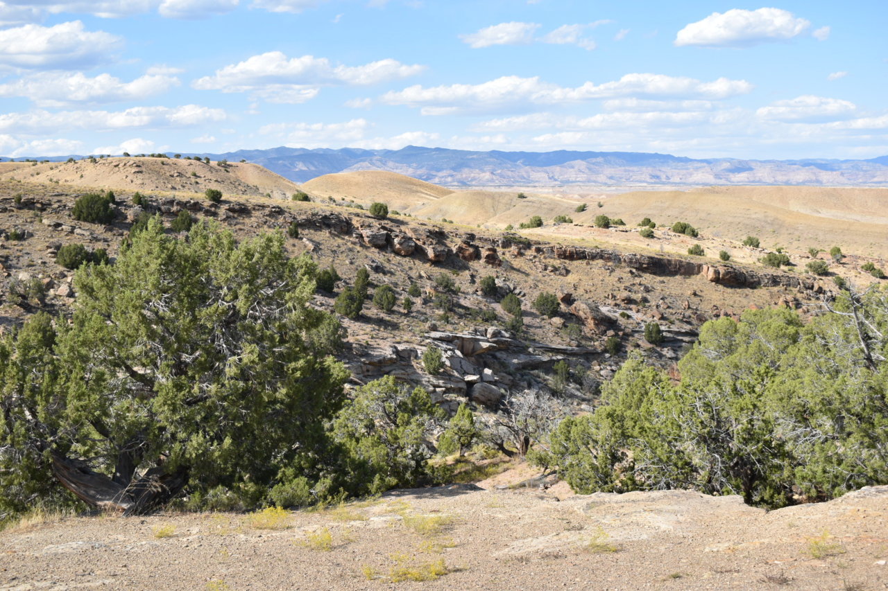 DSC_0034.jpg