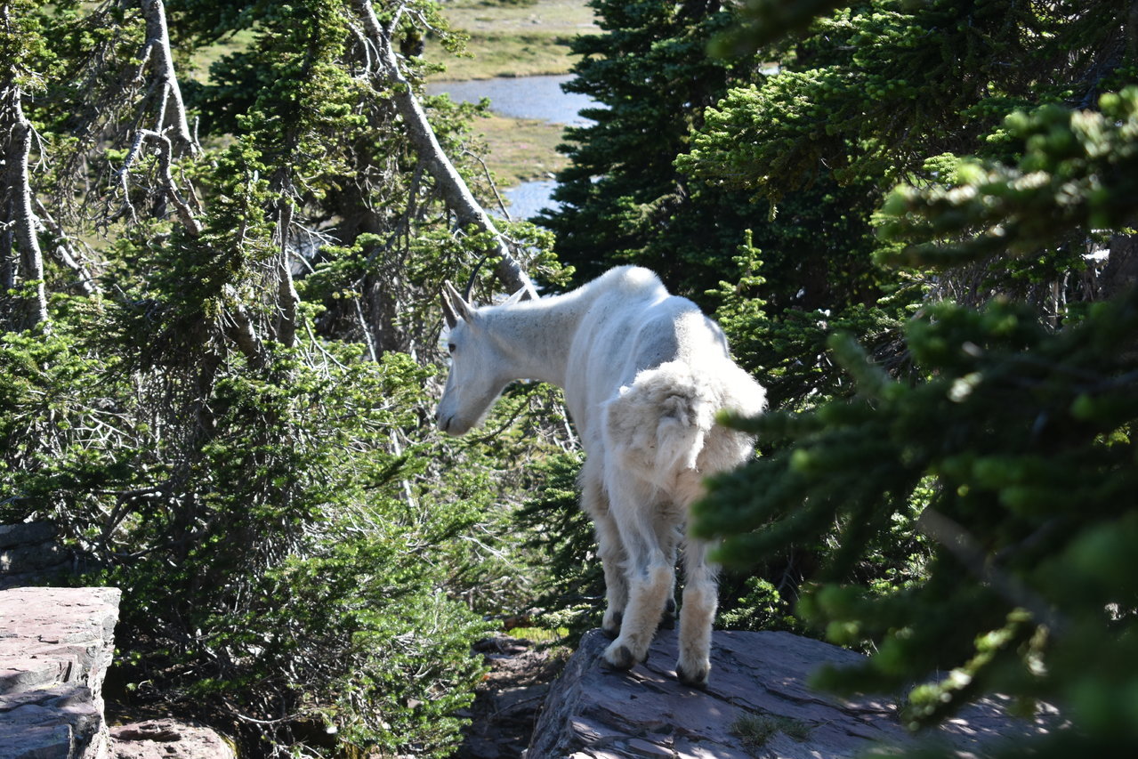 DSC_0035.jpg