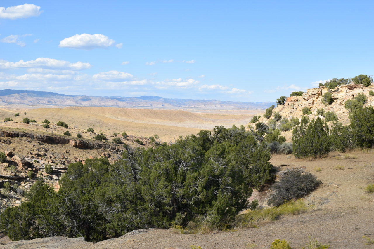 DSC_0035.jpg