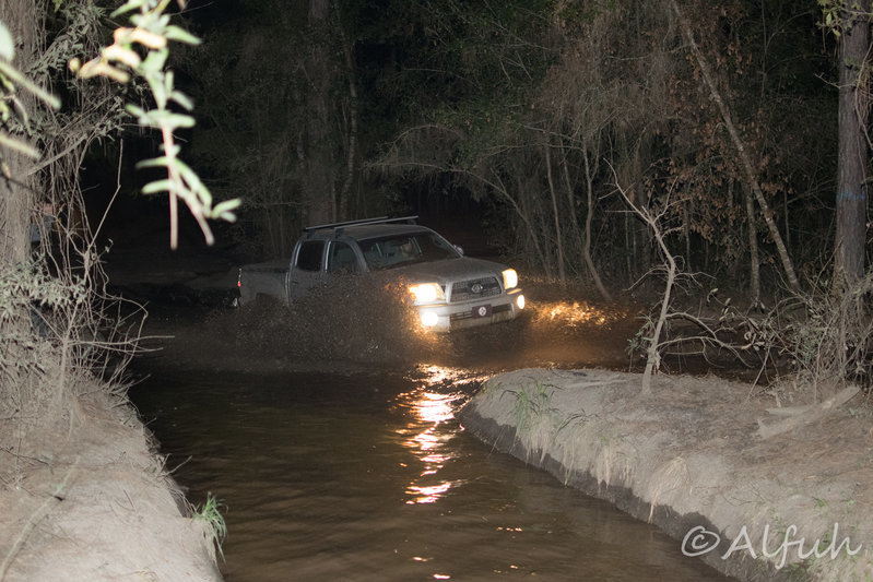 DSC_0036-2.jpg