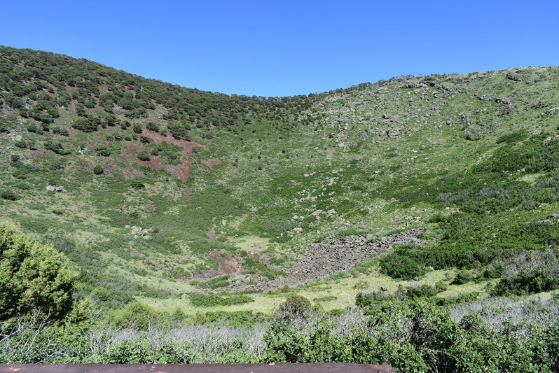 DSC_0036.jpg