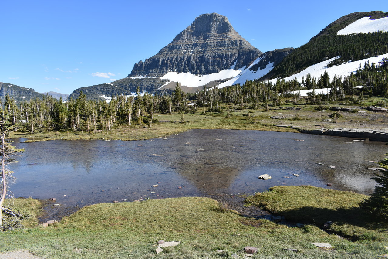 DSC_0036.jpg