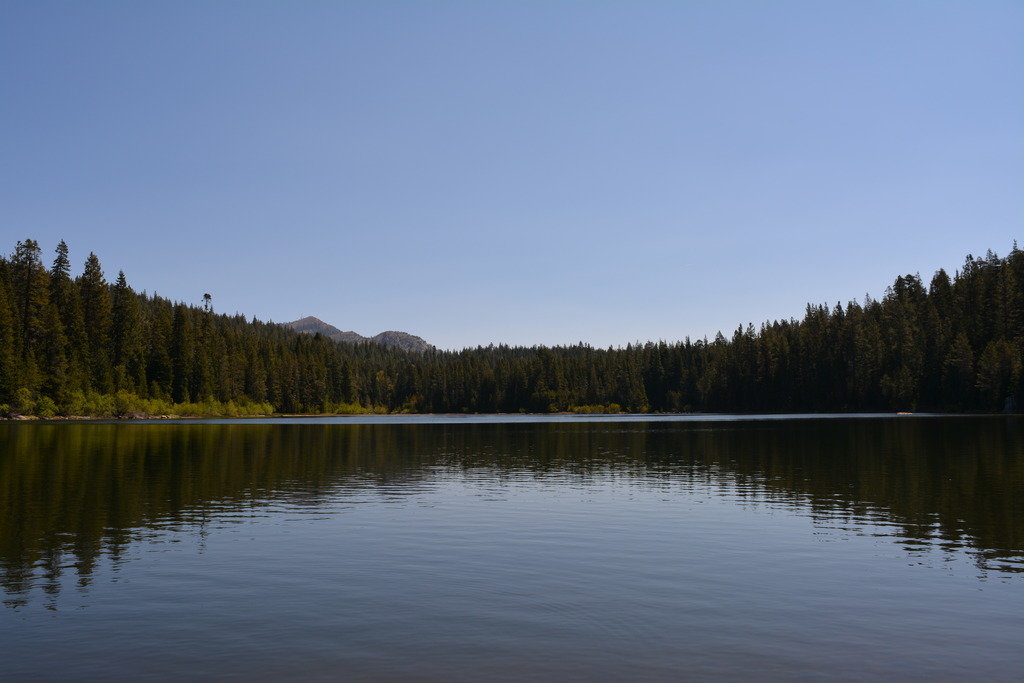DSC_0036_zpscrowfhmu_f13dbff0dce15f4f350f51f83709aca8c3fd7100.jpg