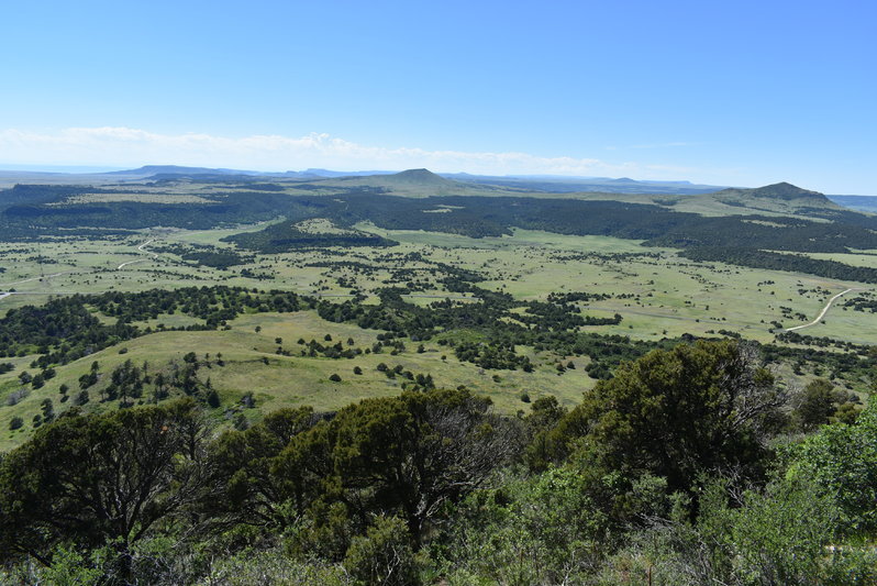 DSC_0037.jpg