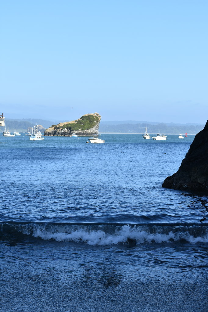 DSC_0037.jpg