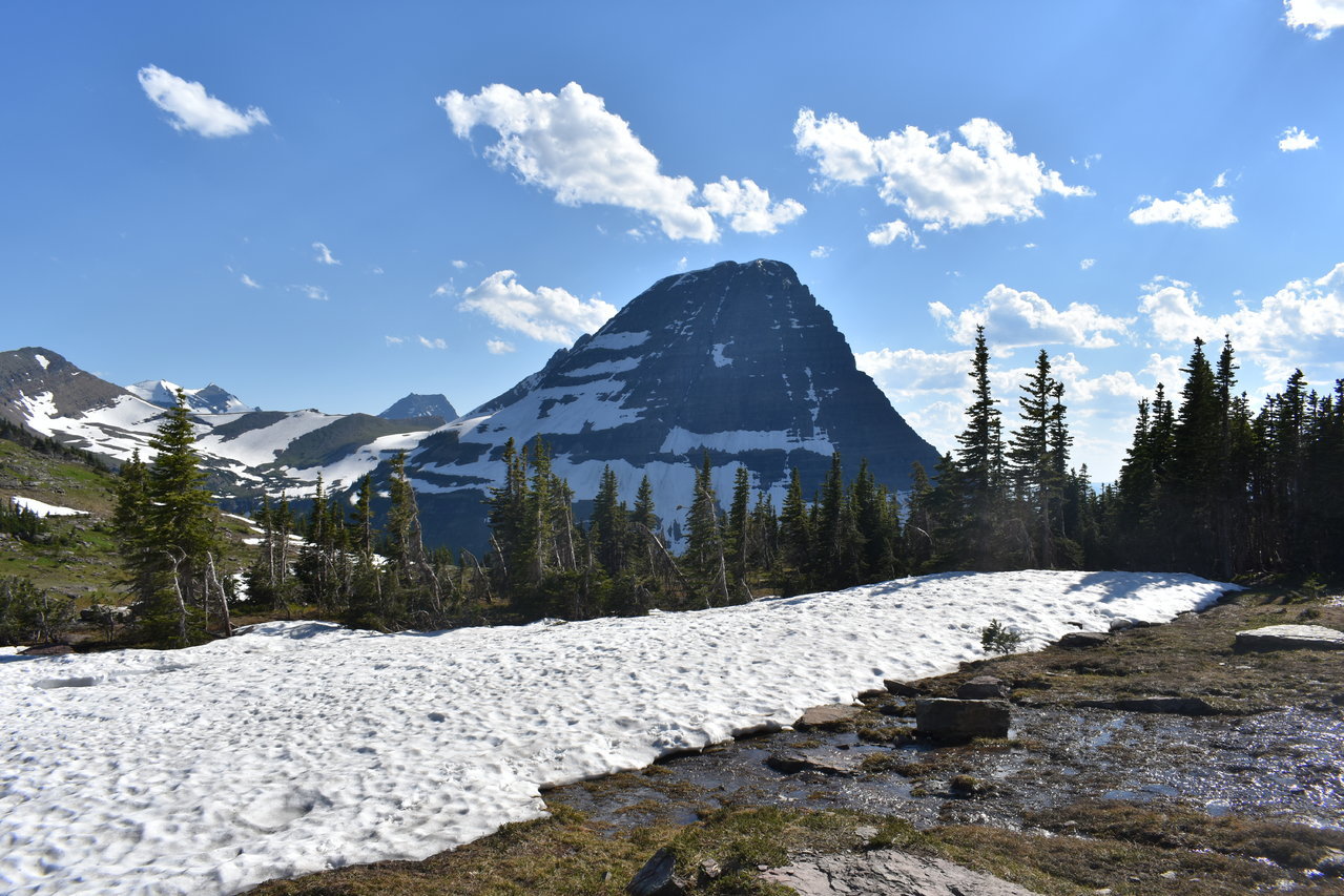 DSC_0037.jpg