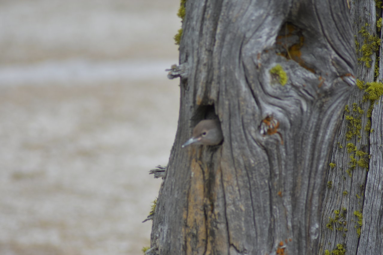 DSC_0037.jpg