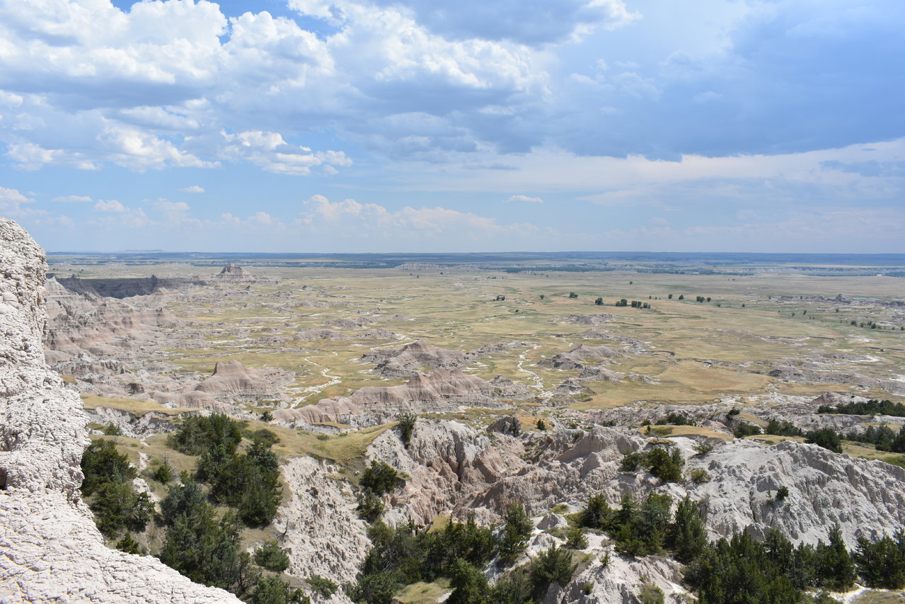 DSC_0037.jpg