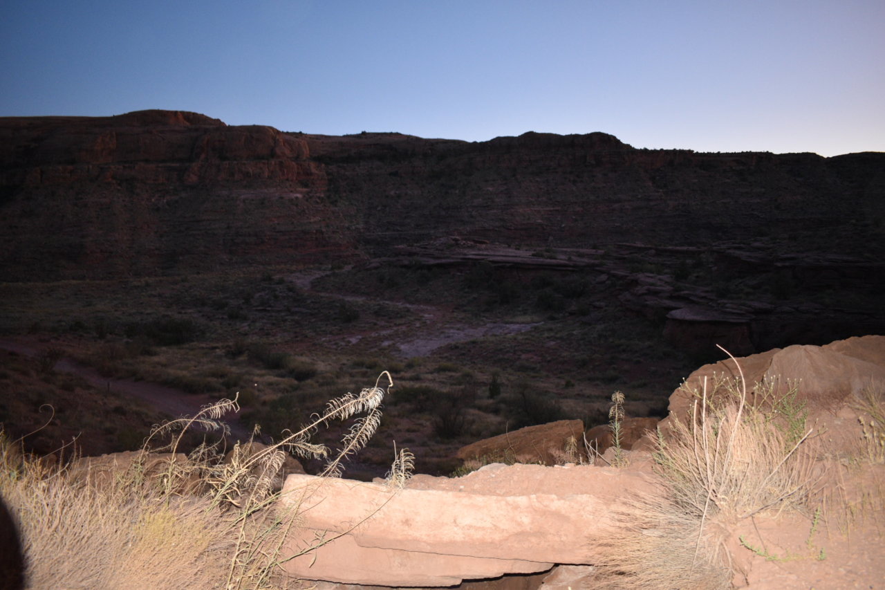 DSC_0037.jpg