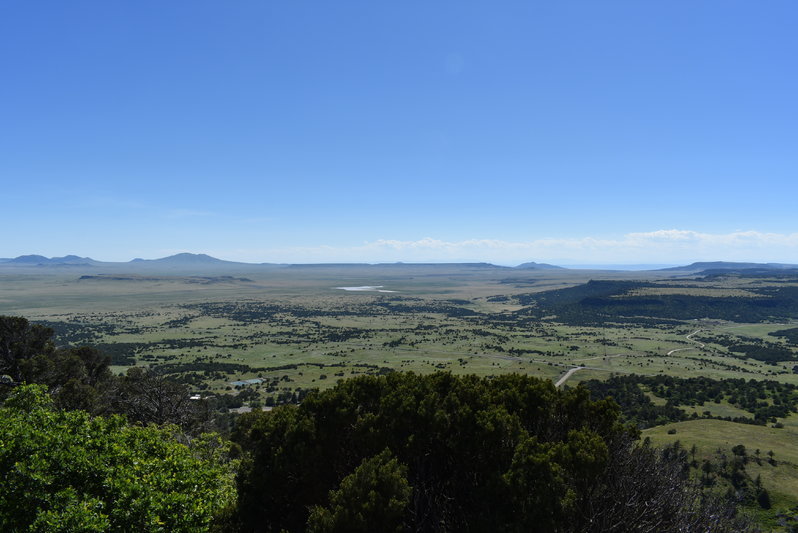 DSC_0038.jpg